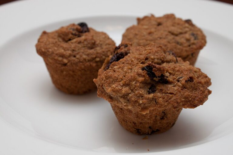 Apple Raisin Oat Muffins