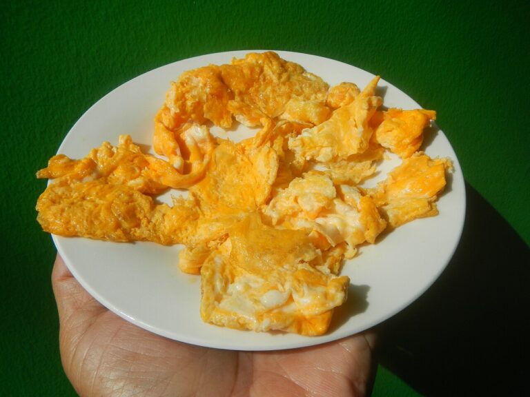 Basic Omelet