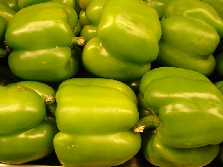 Bell Pepper Chili