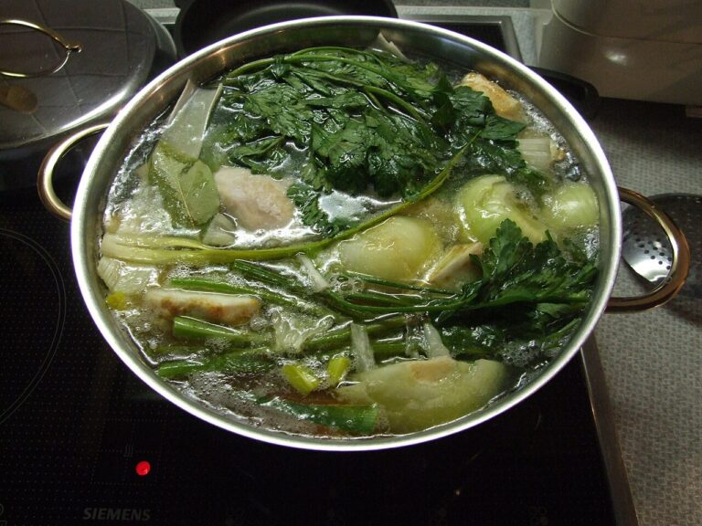 Chicken Soup I