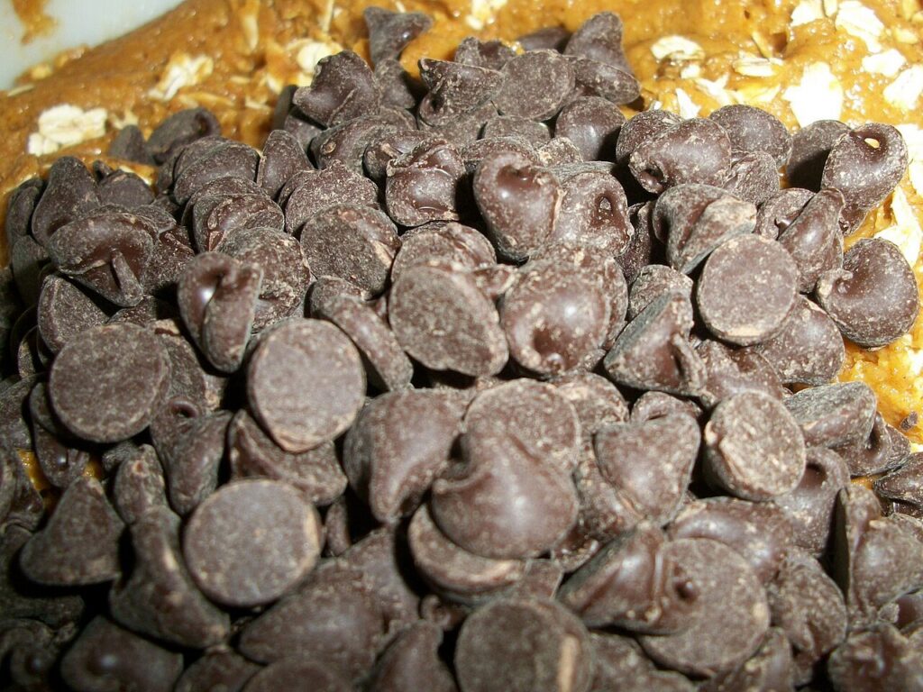 Chocolate Chip Pumpkin Cookies