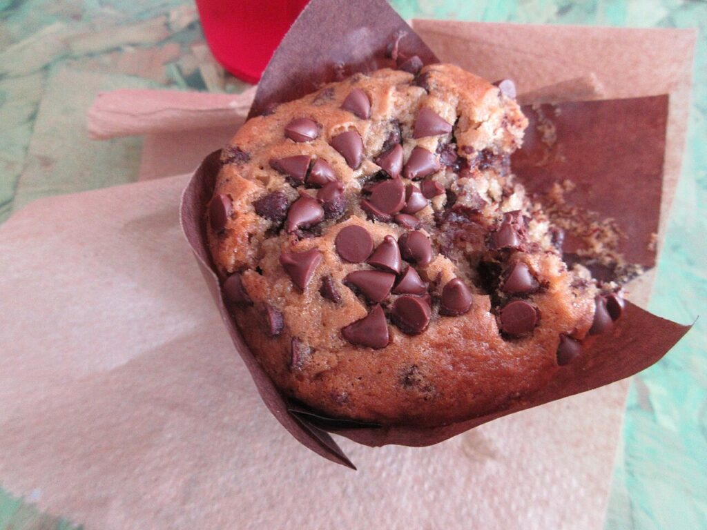 Chocolate Chocolate Chip Muffins