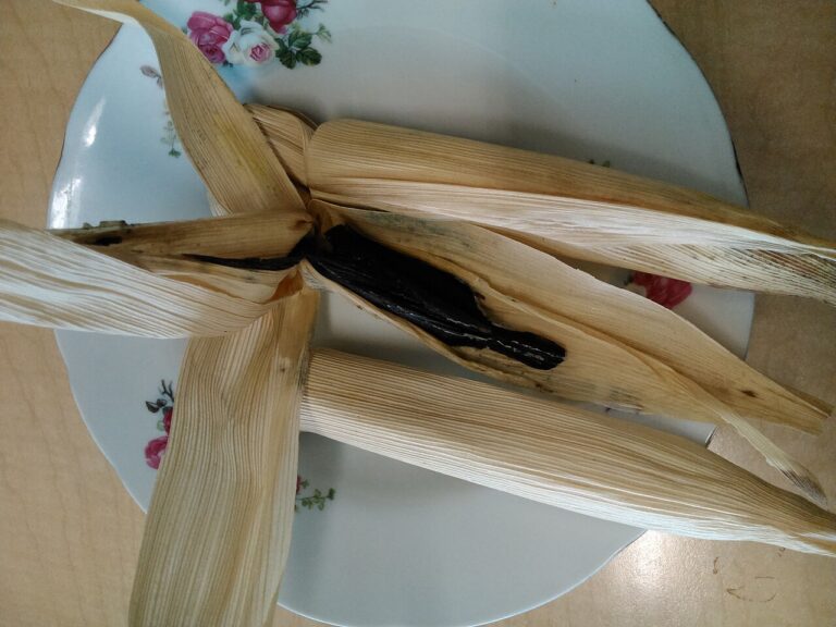 Corn on the Cob with Husks