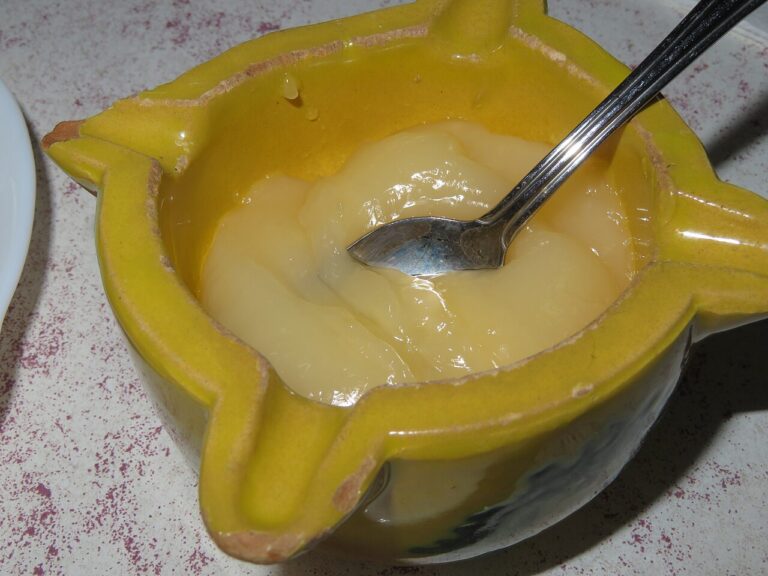 Creamy Aioli Salsa