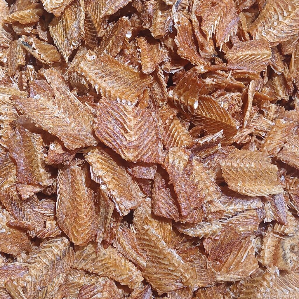 Crispy Salmon