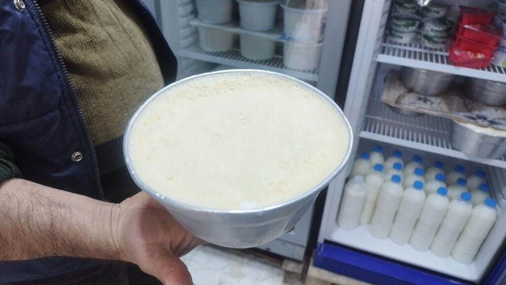 Cucumber Bits in Yogurt