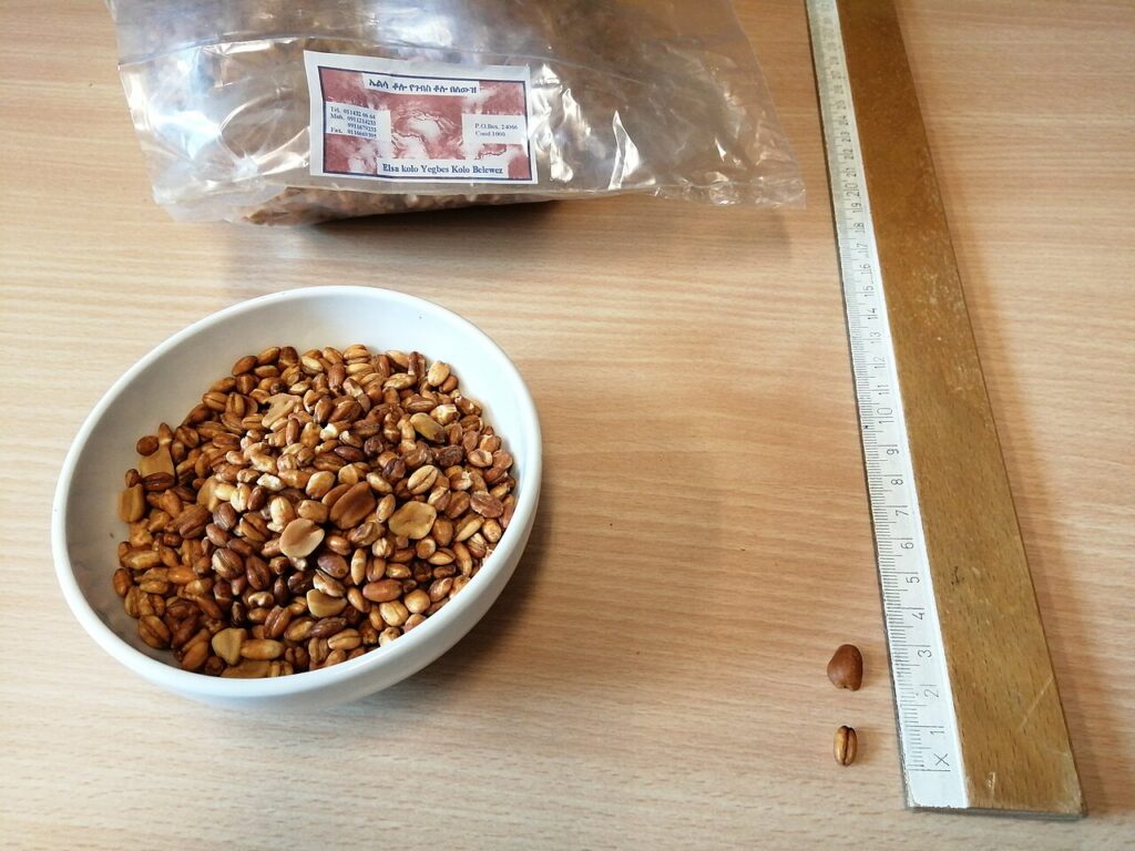 Dabo Kolo (Ethiopian Spiced Bread Snacks)