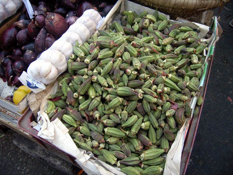 Egyptian Okra