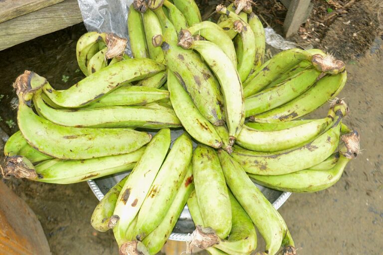 Fried Unripe Plantain (Nigerian Green Plantain)