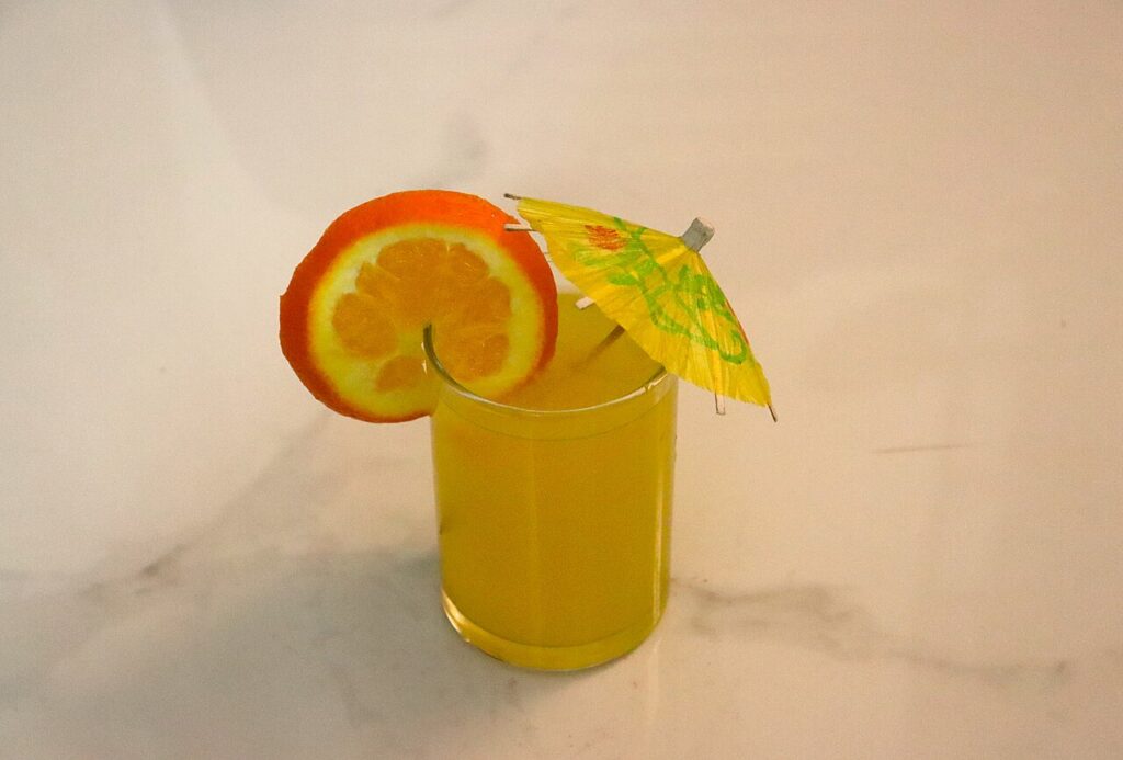 Homemade Orange Juice