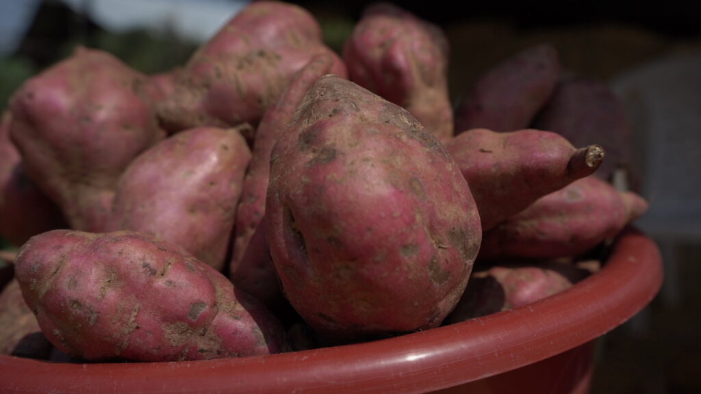 Ikijumba (Rwandan Sweet Potato Stew)