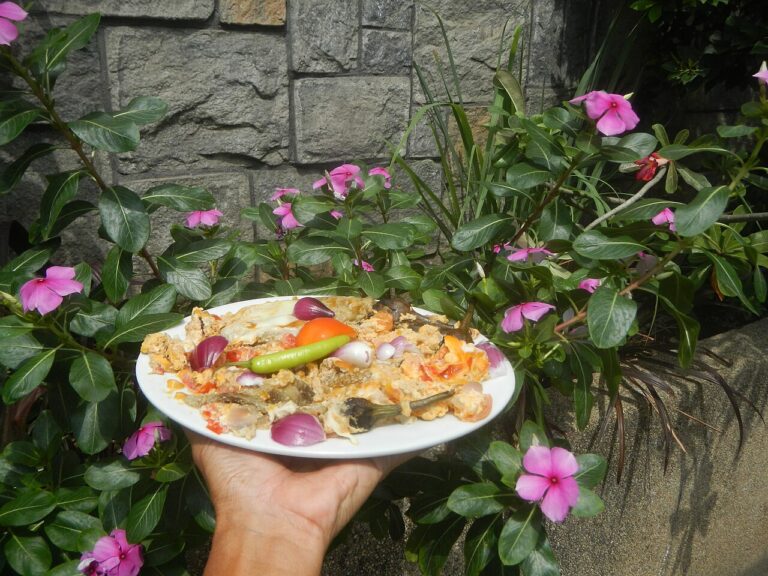 Indian Omelet