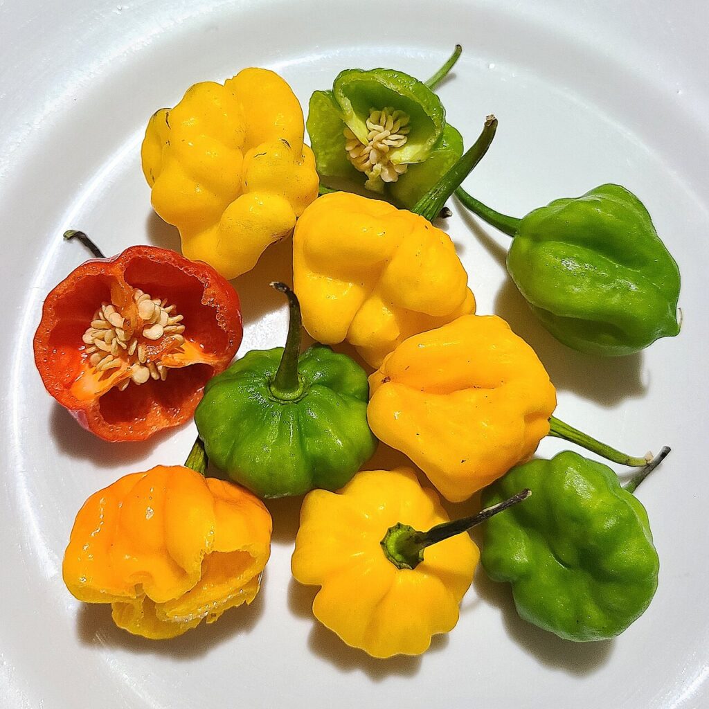 Jamaican Jerk Spice II