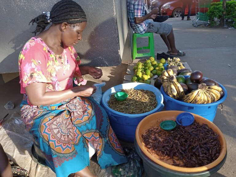 Kondowole (Malawian Toasted Sesame Seeds)