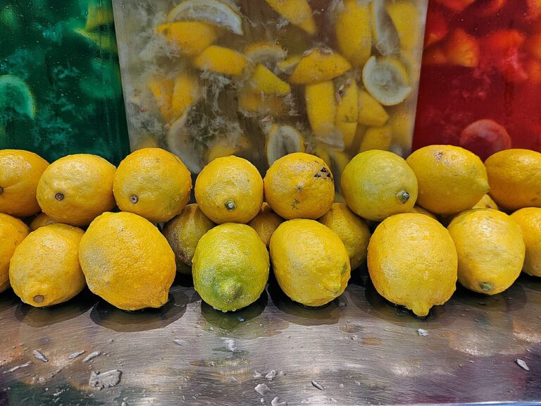 Lemonade (Extra-sour)