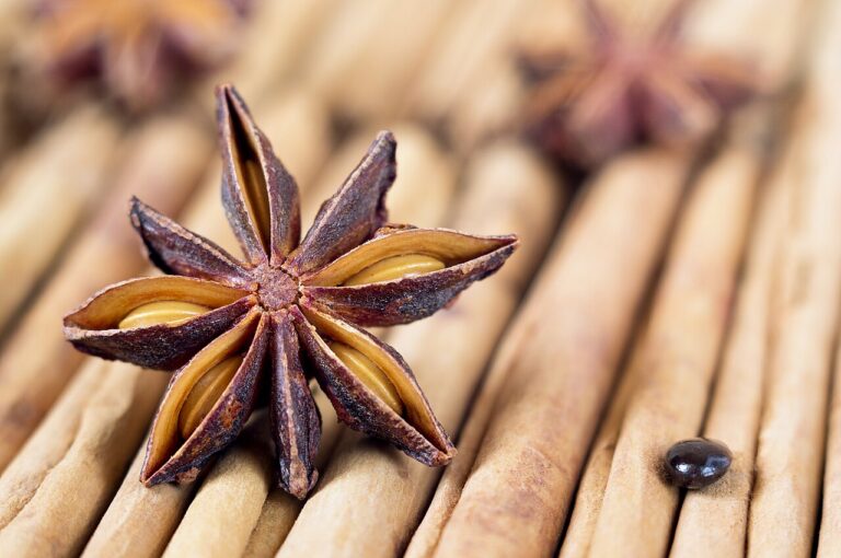 Mulling Spice with Anise