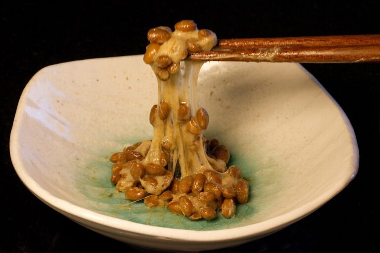 Natto (Japanese Fermented Soybeans)