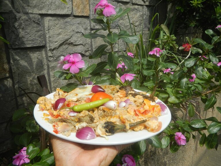 Nigerian Tomato Omelette