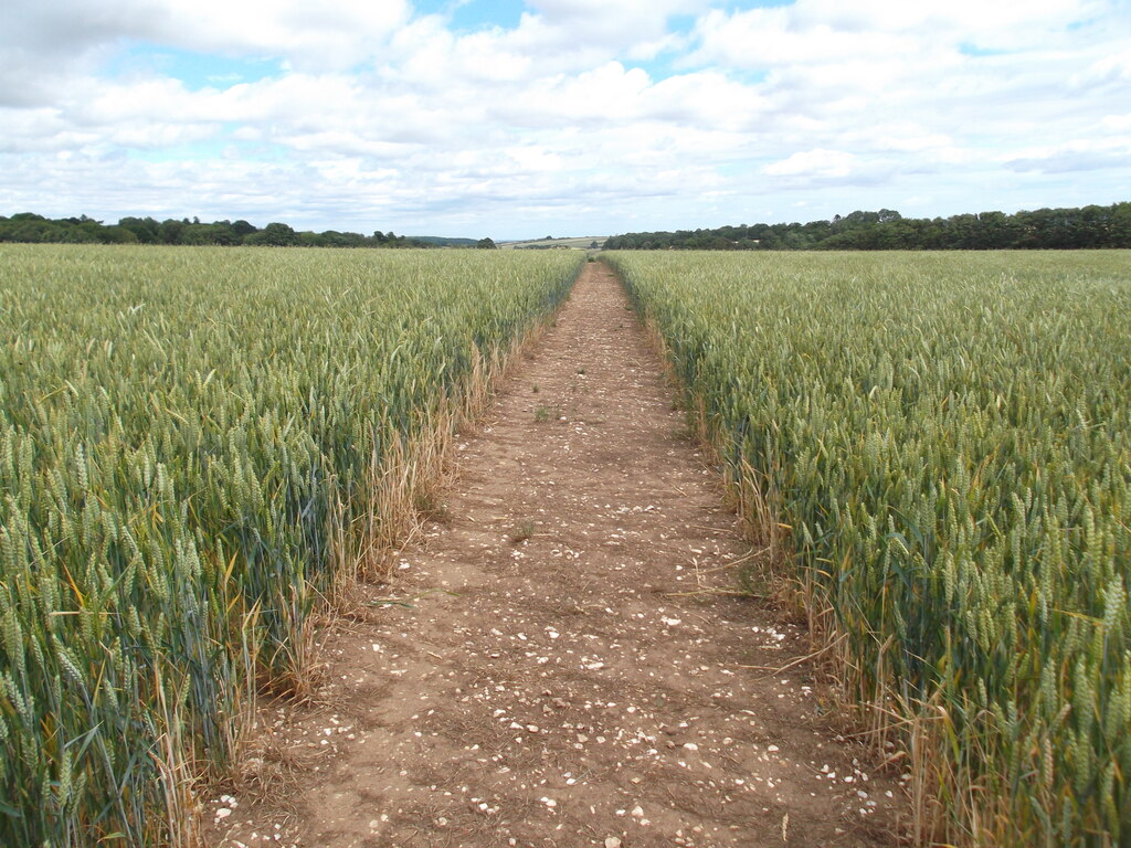 Nigerian Wheat Swallow