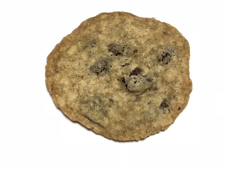 Oatmeal Chocolate Chip Cookies I