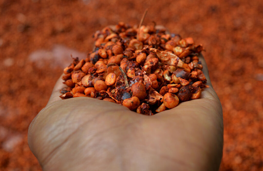 Shiro (Ethiopian Spiced Chickpea or Lentil Stew)