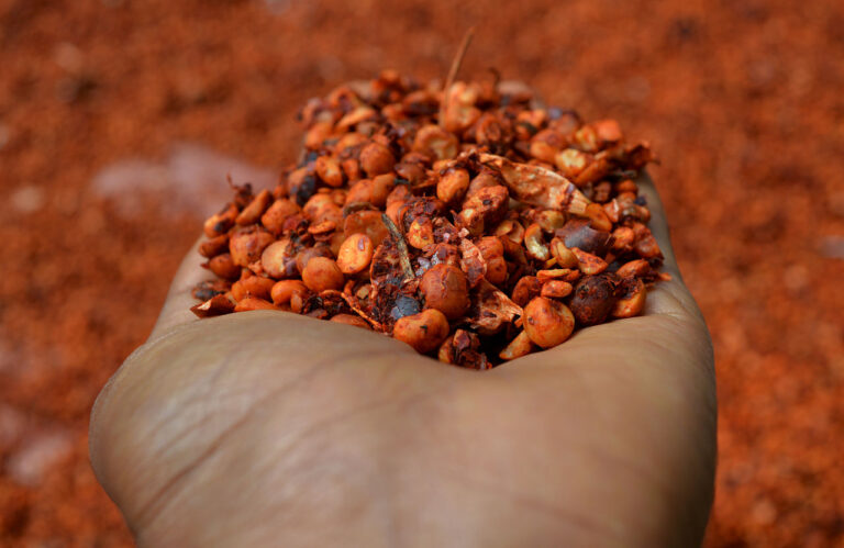 Shiro (Ethiopian Spiced Chickpea or Lentil Stew)