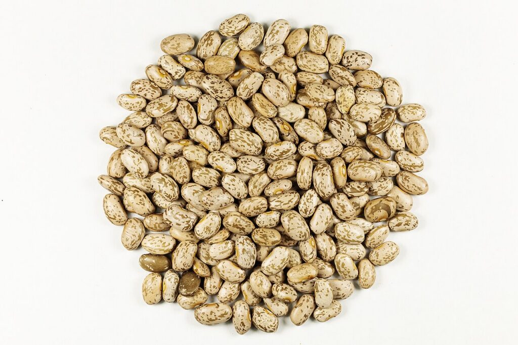 South Texan Pinto Beans