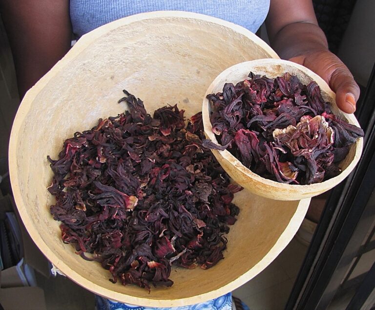 Strawberry Hibiscus Beverage