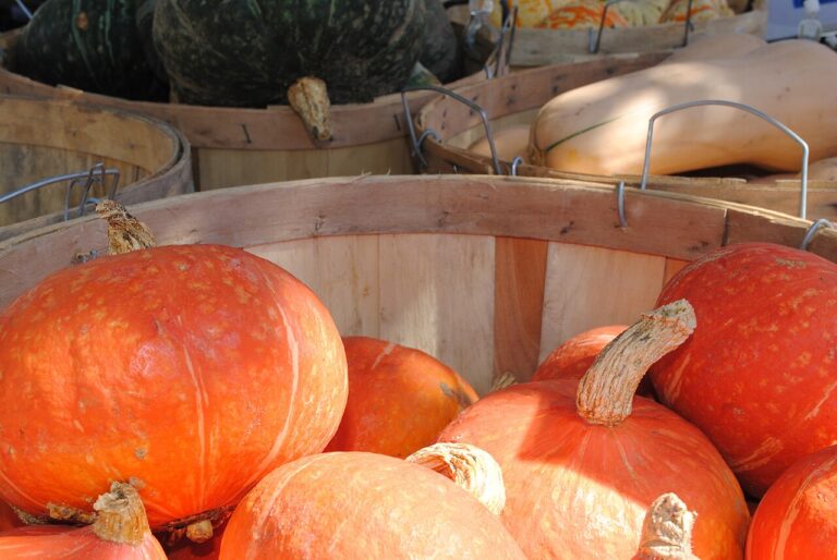 Stuffed Kabocha Squash