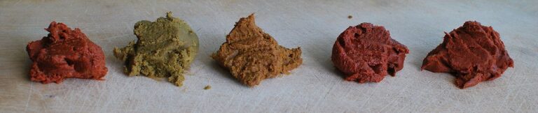 Thai Red Curry Paste