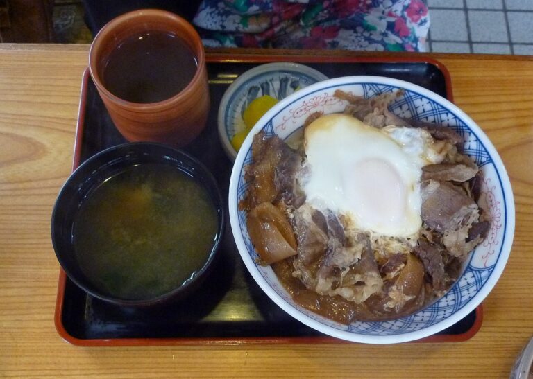 Gyudon (Japanese Beef and Rice Bowl)