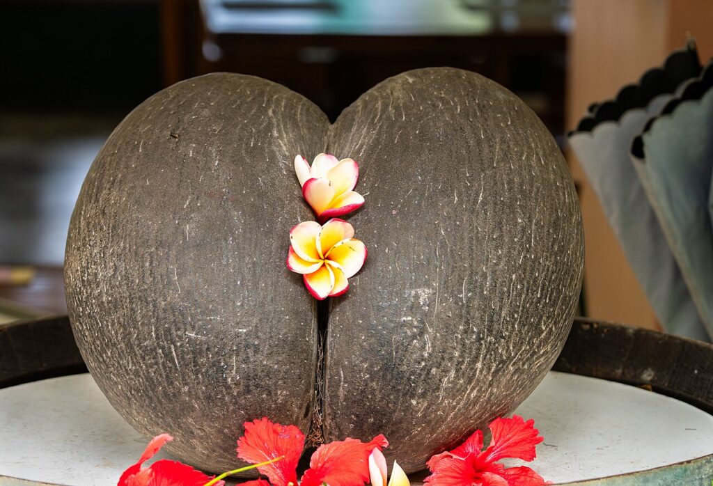 Atropellado de Coco (Coconut and Sweet Potato Dessert)