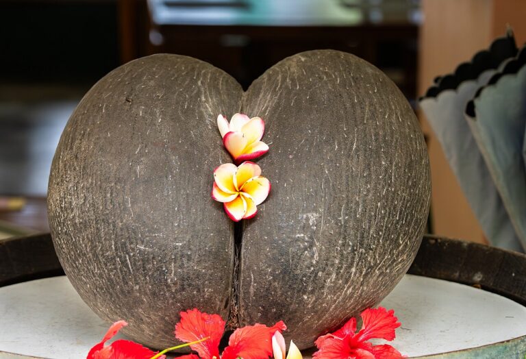 Atropellado de Coco (Coconut and Sweet Potato Dessert)