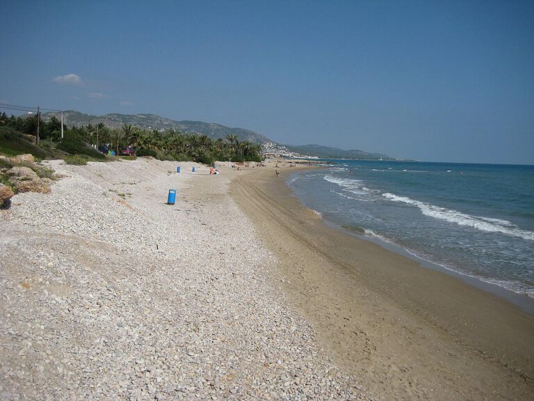 Beach Tropicana