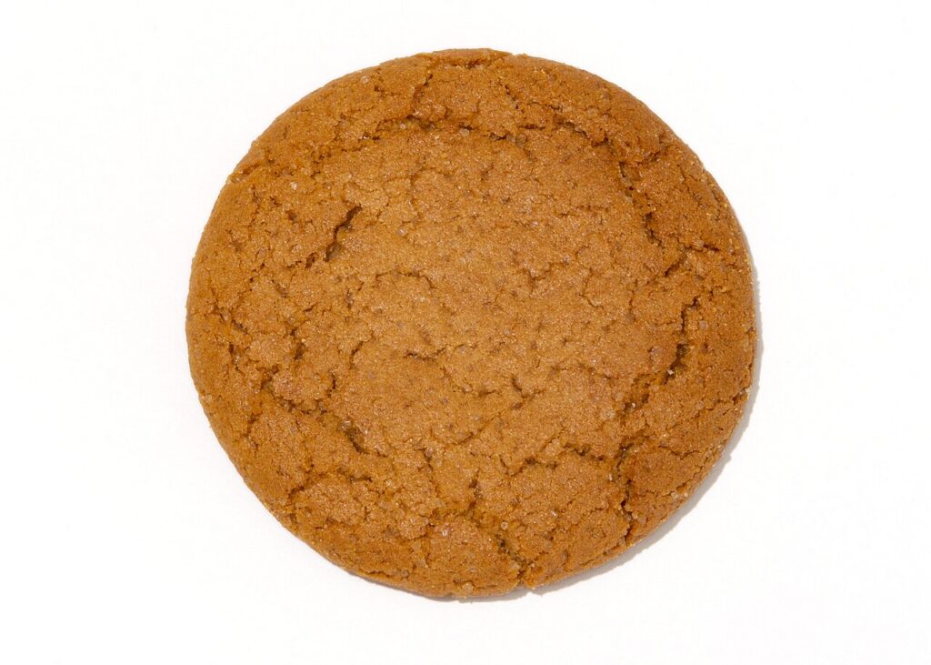 Ginger Biscuits