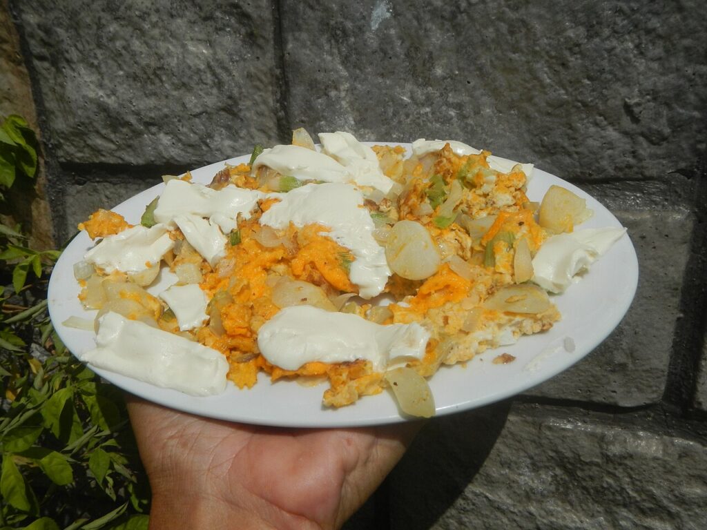 Cheese Omelette