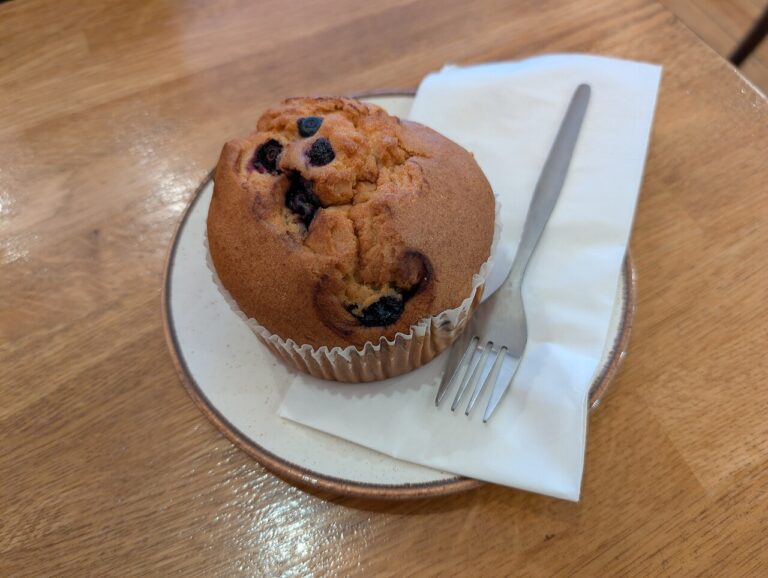Blueberry Muffin