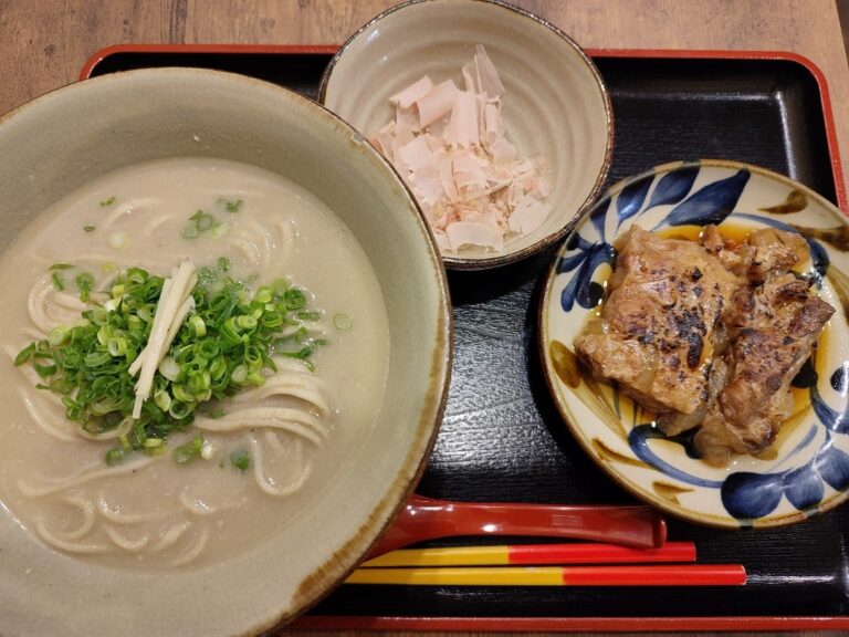 Pork Spare Rib Soup (Bah Kut Teh)