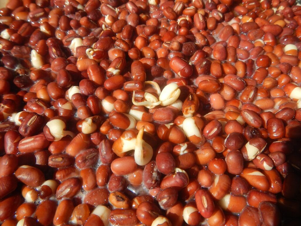 Quinoa, Shiitake Mushrooms and Adzuki Beans