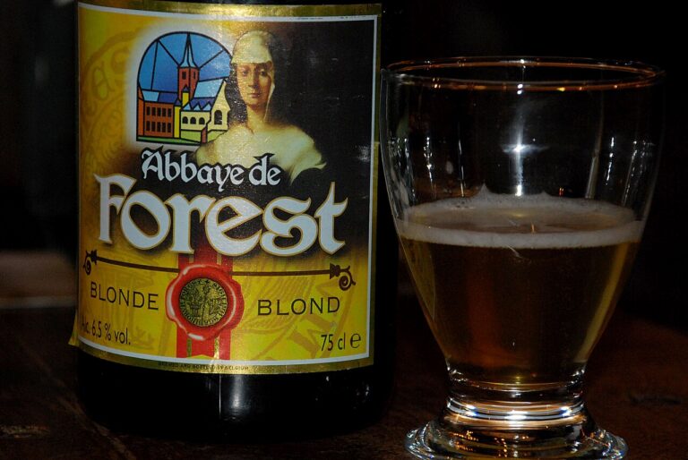 Rabbit with Abbey Beer (Konijn met Paterbier)