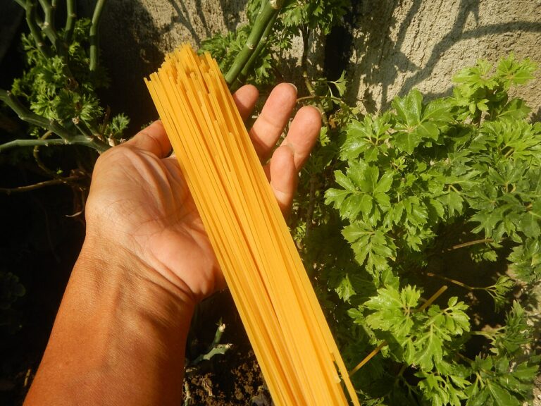 Spaghetti Sauce