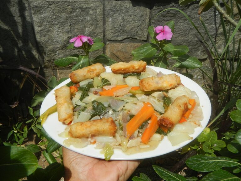 Vegetable Spring Roll