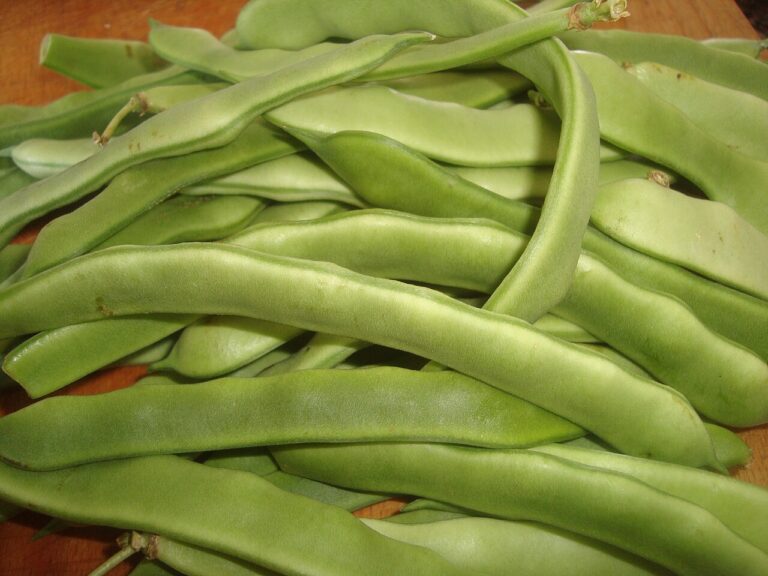 Hopping John with Pinto or Great Northern Beans