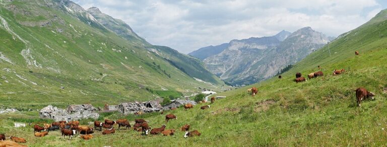 Lady Arundel's Manchet