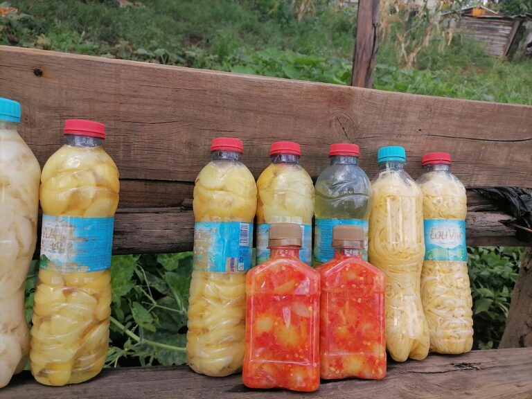 Lemon Pickle II