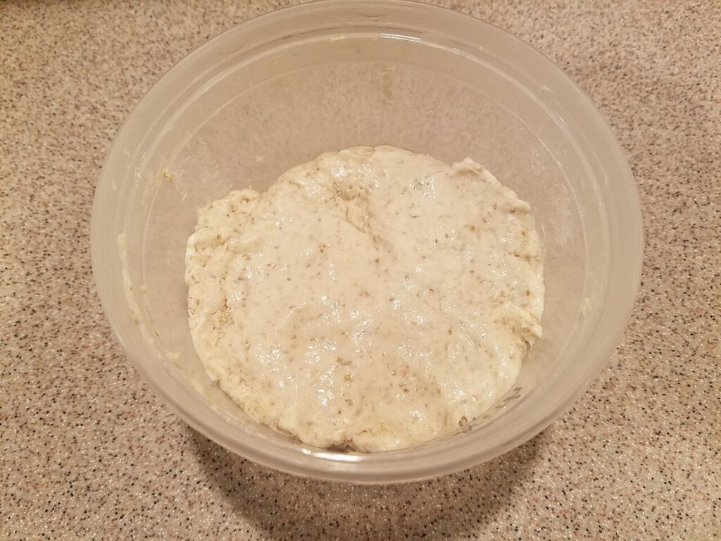 Quick Sourdough Starter
