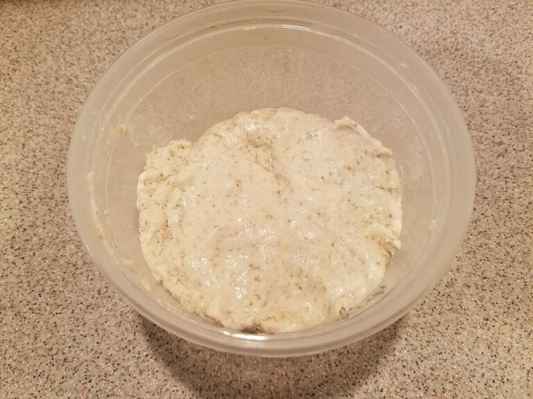 Quick Sourdough Starter