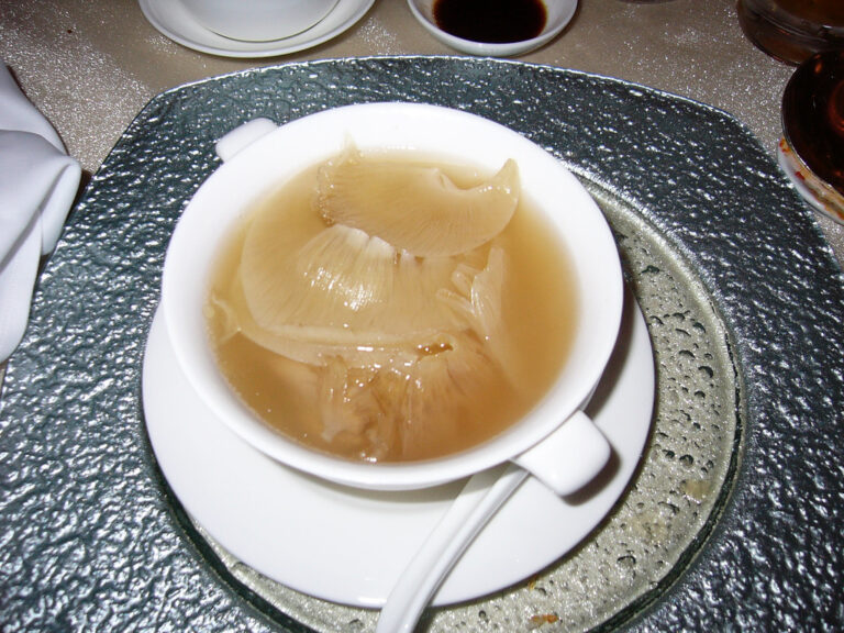 Shark Fin Soup