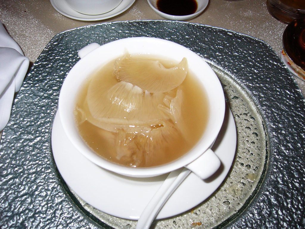 Shark Fin Soup