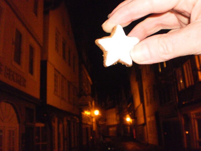 Zimtsterne (German Cinnamon Star Cookies)